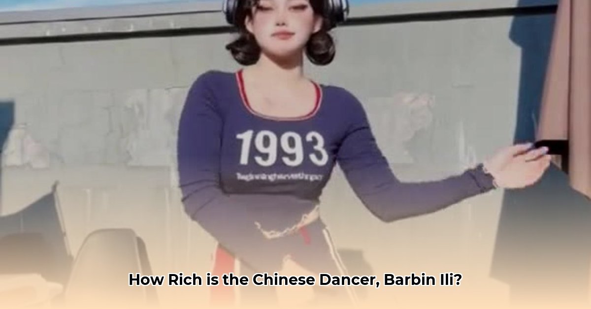 barbin ili net worth